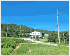  2025Ÿ��469 ���� �žȱ� ������ ���渮 136-23      ����,â�����