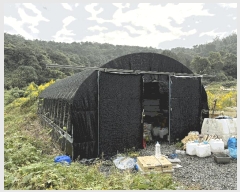  2025Ÿ��501 ���� ���ϱ� �źϸ� ��긮 23      ����(��)���