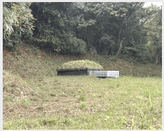  2025Ÿ��501 ���� ���ϱ� �źϸ� ��긮 23      ����(��)���