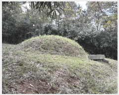  2025Ÿ��501 ���� ���ϱ� �źϸ� ��긮 23      ����(��)���