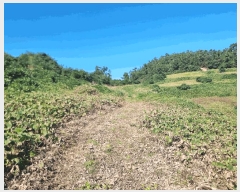  2025Ÿ��507 ���� �žȱ� ������ ���Ǹ� 434      ����(��)���