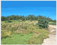  2025Ÿ��507 ���� �žȱ� ������ ���Ǹ� 434      ����(��)���