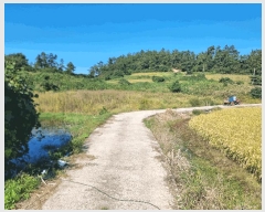  2025Ÿ��507 ���� �žȱ� ������ ���Ǹ� 434      ����(��)���