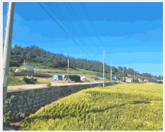  2025Ÿ��507 ���� �žȱ� ������ ���Ǹ� 434      ����(��)���