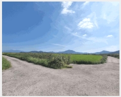  2025Ÿ��513 ���� ���ȱ� ������ ����� 253-45      ����(��)���