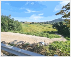  2025Ÿ��513 ���� ���ȱ� ������ ����� 253-45      ����(��)���