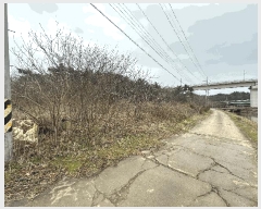  2025Ÿ��562 ���� ���ȱ� �Ϸ��� �׻긮 33-16      ����(��1)���