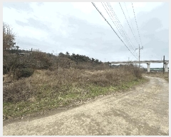  2025Ÿ��562 ���� ���ȱ� �Ϸ��� �׻긮 33-16      ����(��1)���