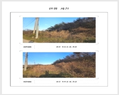  2025Ÿ��562 ���� ���ȱ� �Ϸ��� �׻긮 33-16      ����(��1)���