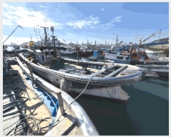  2025Ÿ��565 ������ ���з�158���� 15-4(���� ����)�� �ε�      ���ڰ��