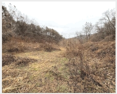  2025Ÿ50590  ϱ  Ѵ븮 239      ()