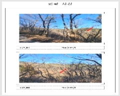  2025Ÿ50590  ϱ  Ѵ븮 239      ()