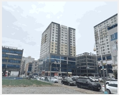  2025Ÿ50950  ȱ  Ǹ 2233 ֿ尡9ǽ 131314ȣ    ǽڰ