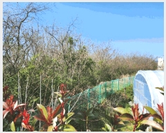  2025Ÿ51007  ϱ   411      ()