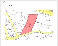  2025Ÿ51007  ϱ   411      ()