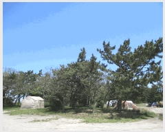  2025Ÿ��51026  ���������