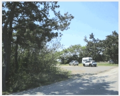  2025Ÿ��51026  ���������