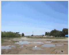  2025Ÿ��51026  ���������