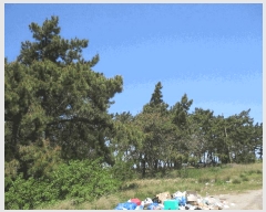  2025Ÿ��51026  ���������