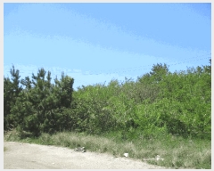  2025Ÿ��51026  ���������