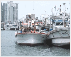  2025Ÿ51094  žȱ ¸        ڰ