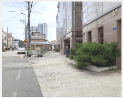  2025Ÿ��51153  �ٰ������ð��