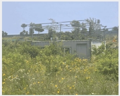  2025Ÿ��51166 ���� ���ȱ� ������ ���Ǹ� 106      ����(��)���