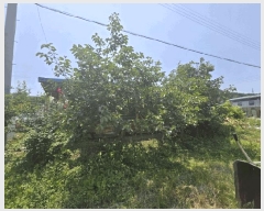  2025Ÿ��51166 ���� ���ȱ� ������ ���Ǹ� 106      ����(��)���