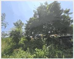  2025Ÿ��51166 ���� ���ȱ� ������ ���Ǹ� 106      ����(��)���