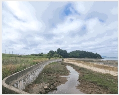  2025Ÿ51173  ȱ  ź 60-1      (1)