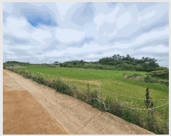  2025Ÿ51173  ȱ  ź 60-1      (1)