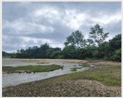  2025Ÿ51173  ȱ  ź 60-1      (1)