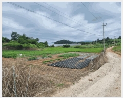  2025Ÿ51173  ȱ  ź 60-1      (1)