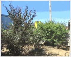  2025Ÿ51204  ȱ  Ÿ 895-6      ()