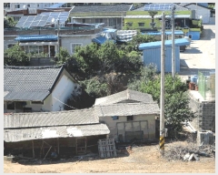  2025Ÿ51204  ȱ  Ÿ 895-6      ()