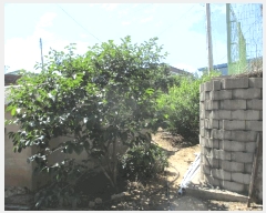  2025Ÿ51204  ȱ  Ÿ 895-6      ()