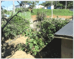  2025Ÿ51204  ȱ  Ÿ 895-6      ()