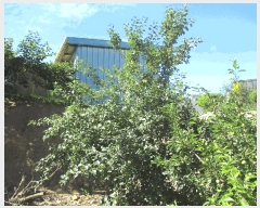  2025Ÿ51204  ȱ  Ÿ 895-6      ()