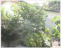  2025Ÿ51204  ȱ  Ÿ 895-6      ()