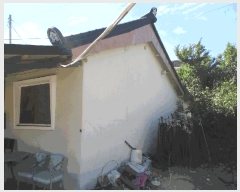  2025Ÿ51204  ȱ  Ÿ 895-6      ()