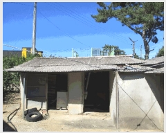  2025Ÿ51204  ȱ  Ÿ 895-6      ()