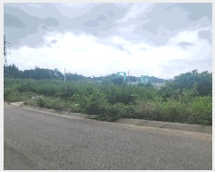  2025Ÿ��51249  �Ӿ߰��