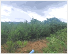  2025Ÿ��51249  �Ӿ߰��