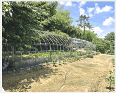  2025Ÿ��51261 ���� ���ϱ� ������ �Ϳ츮 795-1      ����(��1)���