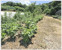  2025Ÿ��51261 ���� ���ϱ� ������ �Ϳ츮 795-1      ����(��1)���