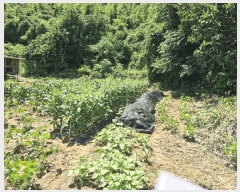  2025Ÿ��51261 ���� ���ϱ� ������ �Ϳ츮 795-1      ����(��1)���