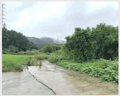  2025Ÿ��51329 ���� ���ȱ� ������ ���ϸ� 113      ����(��)���