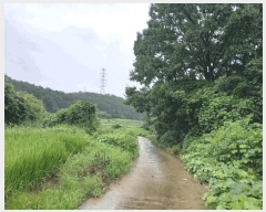  2025Ÿ��51329 ���� ���ȱ� ������ ���ϸ� 113      ����(��)���