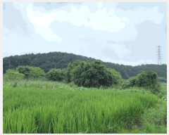  2025Ÿ��51329 ���� ���ȱ� ������ ���ϸ� 113      ����(��)���