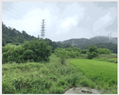  2025Ÿ��51329 ���� ���ȱ� ������ ���ϸ� 113      ����(��)���